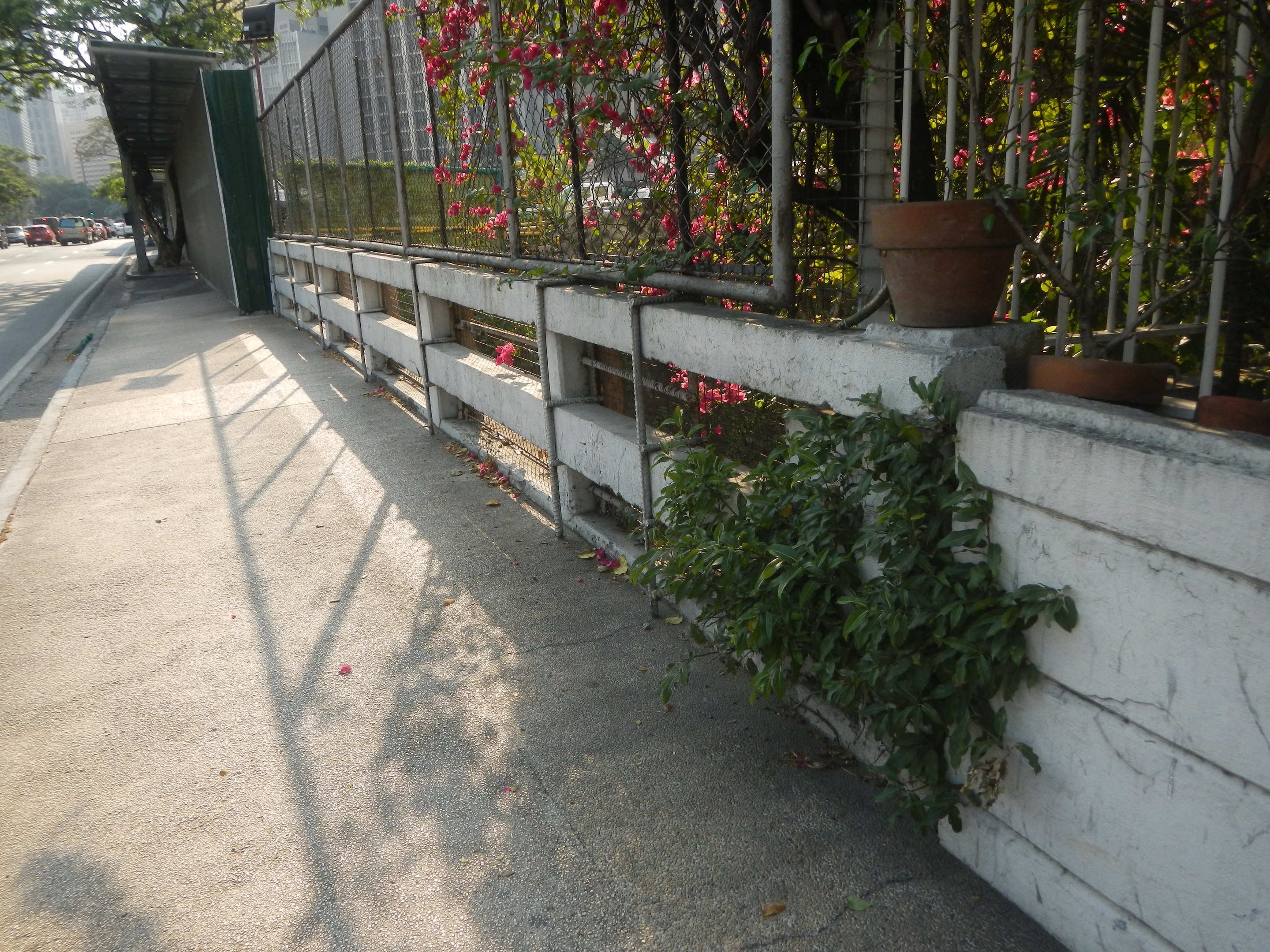 Gehweg mit einem Zaun und Topfpflanzen neben einer Straße mit fahrenden Fahrzeugen, Bäumen, Gebäuden und einem klaren blauen Himmel im Hintergrund.