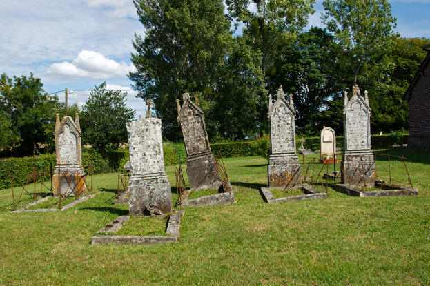 Ein Friedhof mit Pflanzen, Gras, einem Haus, einem Pfahl, Bäumen und dem Himmel im Hintergrund.