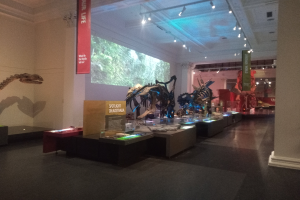 Ein Museumsraum voller verschiedener Dinosaurier-Ausstellungen, darunter Skelette, Informationsschilder, ein Bildschirm und eine Fahne, unter Deckenbeleuchtung.