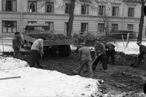 Eine Gruppe von Männern mit Mützen schaufelt Schnee an einer Baustelle, mit einem Lastwagen im Hintergrund, umgeben von Bäumen und Gebäuden mit Fenstern, auf einem Schwarz-Weiß-Bild.