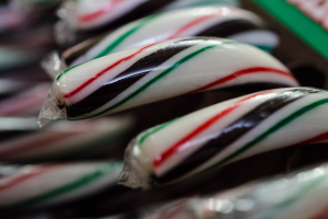 Schokoladen sind ordentlich angeordnet und in einer Box verpackt.