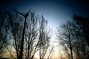 Eine Windmühle vor trockenen Bäumen unter einem blauen Himmel.
