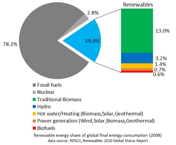 Tortendiagramm, das den globalen Verbrauch erneuerbarer Energien im Jahr 2008 zeigt, mit Abschnitten für fossile Brennstoffe, Kernenergie, Hydro, Heißwasser, Heizung, Biomasse, Solarenergie, Geothermie und Biokraftstoffe.
