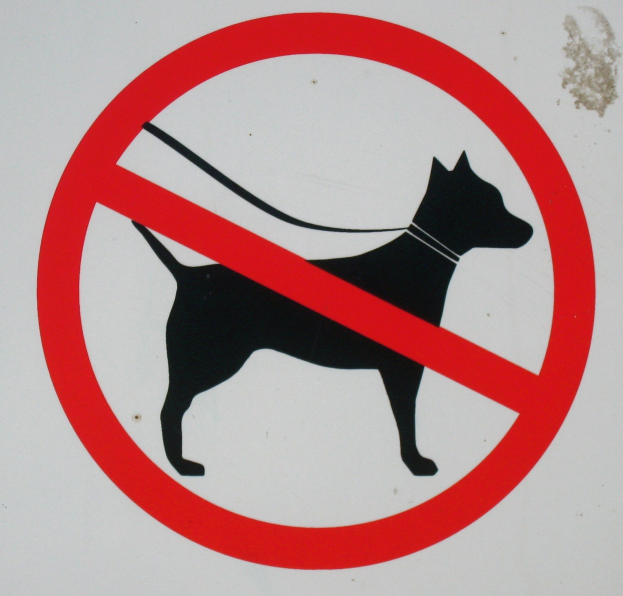 Ein 'Keine Hunde erlaubt'-Schild mit einer Hundewelpen-Illustration an der Seite eines Gebäudes angebracht.