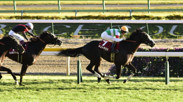 Zwei Jockeys auf Pferden beim Rennen auf einer Bahn, mit Helmen, umgeben von Grün, einem Geländer und einer Tafel im Hintergrund.