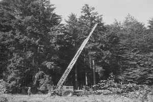 Ein Schwarz-Weiß-Foto eines Krans in einem waldigen Gebiet mit einem Fahrzeug und einer Person in der Nähe unter einem klaren Himmel.