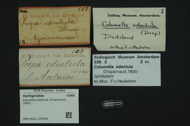 Eine Sammlung alter Visitenkarten mit Texten zum Thema Columella edentula, einem in den Niederlanden verwendeten Medikament, sowie ein kleines Stück Papier mit einem Barcode.