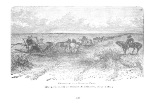 Schwarze und weiße Zeichnung eines Mannes, der ein Feld mit einem Pflug auf einem Pferd pflügt, umgeben von Pflanzen und einem bewölkten Himmel, mit dem Text "Ernten auf einer Bonanza Farm, New York" unten.