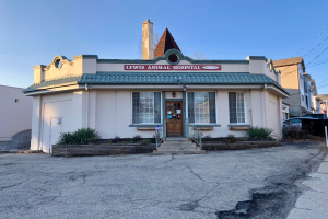 Exterior view of Lewis Animal Hospital in San Francisco, a building with windows and a door, surrounded by plants and steps with railings, featuring a signboard on a pole, parked vehicles, visible sky, and overhead wires.