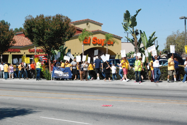 Eine Gruppe von Menschen mit Schildern, die durch einen Wald gehen, mit Bäumen, Büschen, einer Fahne, einem Gebäude mit Namensschildern, Autos und aktuellen Umfragen im Hintergrund.