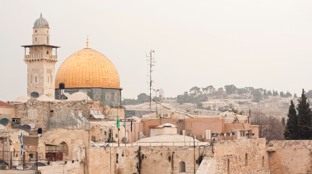 Mehrere Backsteingebäude mit Schüsselantennen und Klimaanlagen, mit Bäumen und Himmel im Hintergrund.