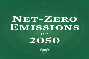 Ein grüner Hintergrund mit der fettgedruckten weißen Schrift "netto-null-Emissionen bis 2050"