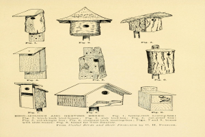 Ein Papier mit detaillierten Zeichnungen verschiedener einzigartig geformter und gestalteter Vogelhäuser und Nistkästen, begleitet von beschreibendem Text über ihre Größe, Form und Merkmale.