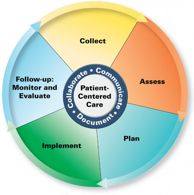 Ein Kreisdiagramm mit der Überschrift 'patientenorientierte Versorgung' und vier farbigen Abschnitten, jeweils mit einer spezifischen Pflegeart beschriftet.