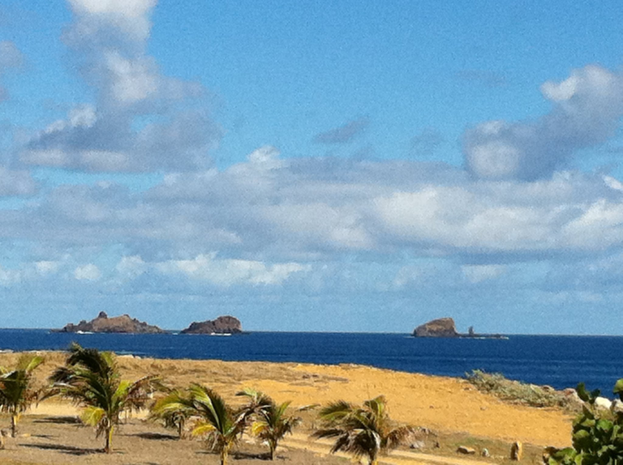 Eine Strandszene mit Palmen, grünem Gras und einem Gewässer, das vor einem blauen und weißen Himmel mit fernen Bergen liegt.