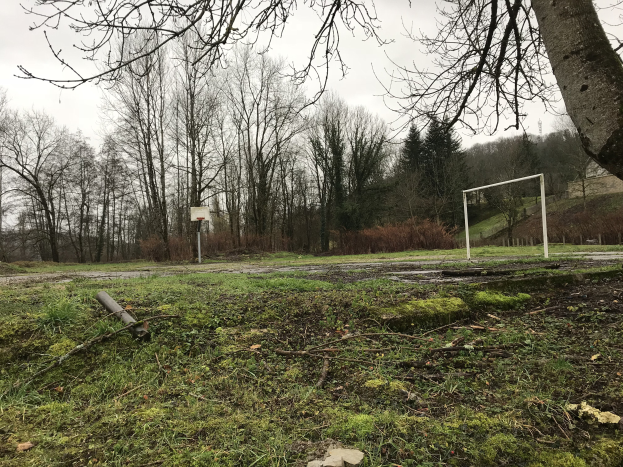 Ein verlassener Basketballplatz in einer grünen Wiese umgeben von Bäumen unter einem klaren blauen Himmel.