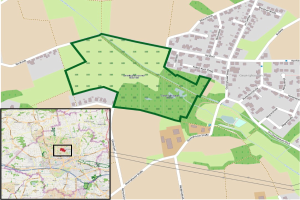 Sportliche Entwicklung in Obertshausen in vollem Gange