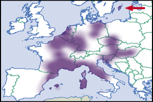Eine Karte von Europa in violetten und grünen Tönen mit einer schwarzen Umrandung, die einen roten Pfeil nach rechts zeigt, um das Ausmaß der Europäischen Union anzuzeigen.