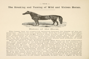 Ein Blatt Papier mit einer Zeichnung eines aufgerichteten Pferdes mit wildem Ausdruck und wehender Mähne und Schweif, begleitet von fetter Schrift, die "Das Zureiten und Zähmen wilder und bösartiger Pferde" lautet.