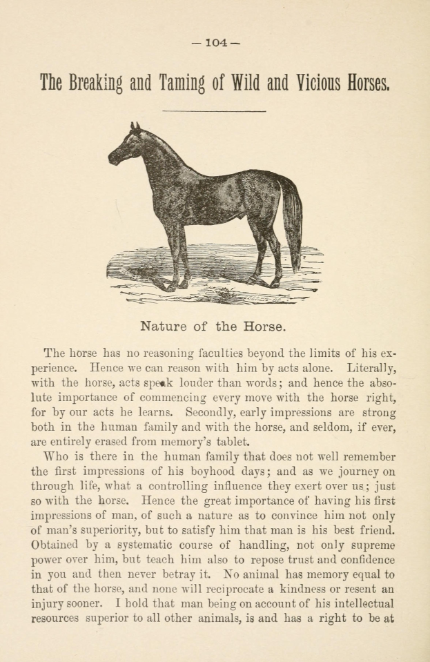 Ein Blatt Papier mit einer Zeichnung eines aufgerichteten Pferdes mit wildem Ausdruck und wehender Mähne und Schweif, begleitet von fetter Schrift, die "Das Zureiten und Zähmen wilder und bösartiger Pferde" lautet.