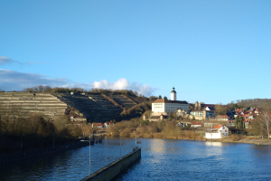 Eine malerische Aussicht auf den Rhein in Deutschland, mit einer Brücke, Laternen, Bäumen, Gebäuden entlang der Flussufer und einem Hügel im Hintergrund unter einem bewölkten Himmel.