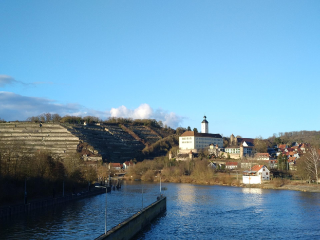 Eine malerische Aussicht auf den Rhein in Deutschland, mit einer Brücke, Laternen, Bäumen, Gebäuden entlang der Flussufer und einem Hügel im Hintergrund unter einem bewölkten Himmel.